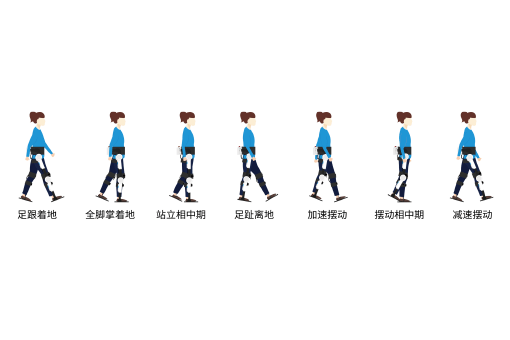 標準步態輸入